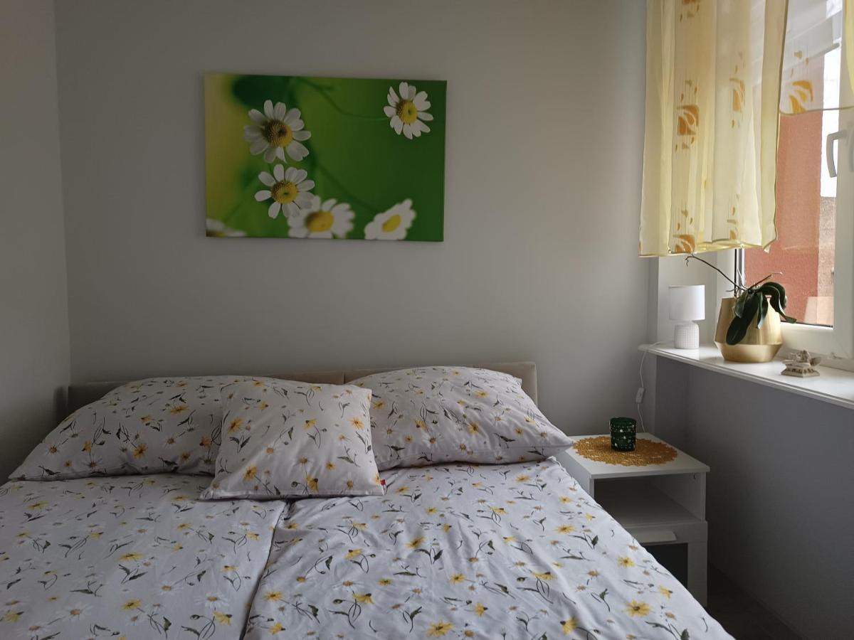 Szmaragdowy Apartament Przy Ulicy Opolskiej Tarnowskie Góry 外观 照片