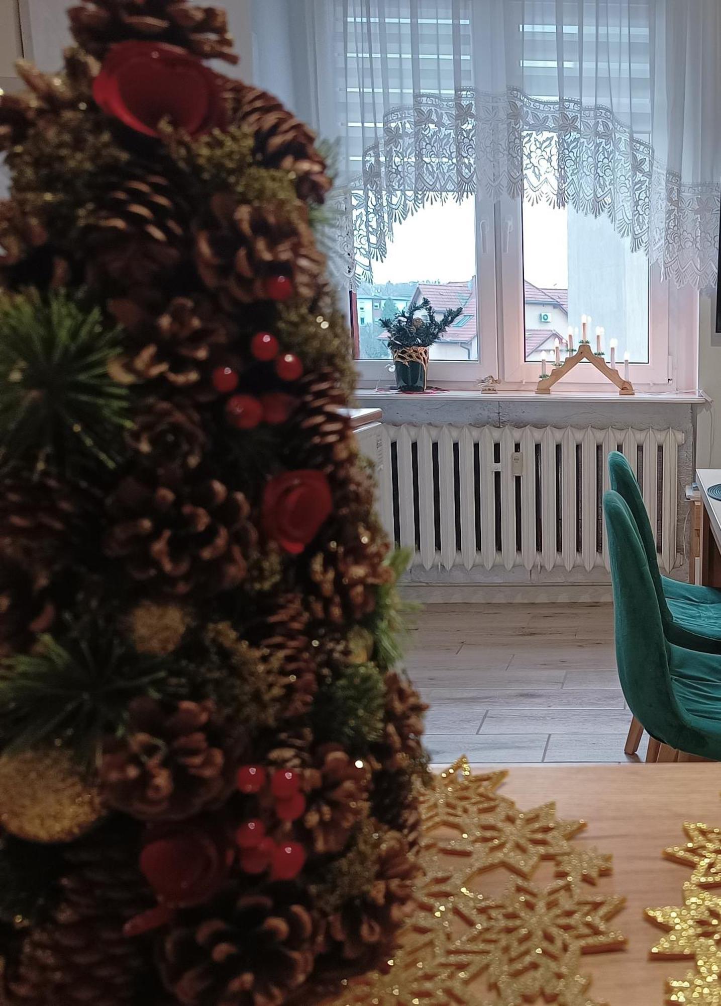 Szmaragdowy Apartament Przy Ulicy Opolskiej Tarnowskie Góry 外观 照片